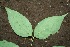  ( - BioBot00192)  @11 [ ] Copyright (2010) Unspecified Unspecified