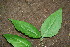  ( - BioBot00192)  @11 [ ] Copyright (2010) Unspecified Unspecified