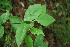  ( - BioBot00192)  @11 [ ] Copyright (2010) Unspecified Unspecified