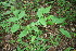  ( - BioBot00192)  @11 [ ] Copyright (2010) Unspecified Unspecified