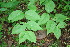  ( - BioBot00193)  @11 [ ] Copyright (2010) Unspecified Unspecified