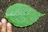  ( - BioBot00193)  @11 [ ] Copyright (2010) Unspecified Unspecified