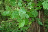  ( - BioBot00194)  @11 [ ] Copyright (2010) Unspecified Unspecified