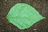  ( - BioBot00194)  @11 [ ] Copyright (2010) Unspecified Unspecified