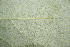 ( - BioBot00194)  @11 [ ] Copyright (2010) Unspecified Unspecified