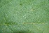  ( - BioBot00194)  @11 [ ] Copyright (2010) Unspecified Unspecified