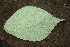  ( - BioBot00194)  @11 [ ] Copyright (2010) Unspecified Unspecified