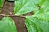  ( - BioBot00194)  @11 [ ] Copyright (2010) Unspecified Unspecified