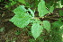  ( - BioBot00194)  @11 [ ] Copyright (2010) Unspecified Unspecified