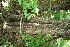  ( - BioBot00195)  @11 [ ] Copyright (2010) Unspecified Unspecified
