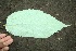  ( - BioBot00195)  @11 [ ] Copyright (2010) Unspecified Unspecified
