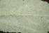  ( - BioBot00195)  @11 [ ] Copyright (2010) Unspecified Unspecified