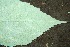  ( - BioBot00195)  @11 [ ] Copyright (2010) Unspecified Unspecified