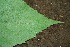  ( - BioBot00195)  @11 [ ] Copyright (2010) Unspecified Unspecified