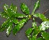  ( - BioBot00205)  @11 [ ] Copyright (2010) Unspecified Unspecified
