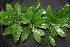  ( - BioBot00206)  @11 [ ] Copyright (2010) Unspecified Unspecified