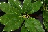  ( - BioBot00206)  @11 [ ] Copyright (2010) Unspecified Unspecified