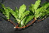  ( - BioBot00206)  @11 [ ] Copyright (2010) Unspecified Unspecified