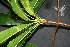 ( - BioBot00209)  @11 [ ] Copyright (2010) Unspecified Unspecified