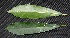  ( - BioBot00209)  @11 [ ] Copyright (2010) Unspecified Unspecified