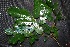  ( - BioBot00226)  @11 [ ] Copyright (2010) Unspecified Unspecified