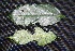  ( - BioBot00226)  @11 [ ] Copyright (2010) Unspecified Unspecified