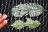  ( - BioBot00226)  @11 [ ] Copyright (2010) Unspecified Unspecified