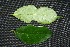  ( - BioBot00227)  @11 [ ] Copyright (2010) Unspecified Unspecified