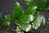  ( - BioBot00228)  @11 [ ] Copyright (2010) Unspecified Unspecified