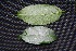  ( - BioBot00228)  @11 [ ] Copyright (2010) Unspecified Unspecified