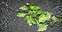  ( - BioBot00230)  @11 [ ] Copyright (2010) Unspecified Unspecified