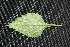  ( - BioBot00230)  @11 [ ] Copyright (2010) Unspecified Unspecified