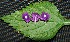  ( - BioBot00230)  @11 [ ] Copyright (2010) Unspecified Unspecified