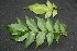  ( - BioBot00234)  @11 [ ] Copyright (2010) Unspecified Unspecified