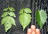  ( - BioBot00235)  @11 [ ] Copyright (2010) Unspecified Unspecified
