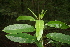  ( - BioBot00257)  @11 [ ] Copyright (2010) Unspecified Unspecified