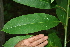  ( - BioBot00257)  @11 [ ] Copyright (2010) Unspecified Unspecified