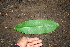  ( - BioBot00257)  @11 [ ] Copyright (2010) Unspecified Unspecified