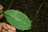  ( - BioBot00258)  @11 [ ] Copyright (2010) Unspecified Unspecified