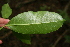  ( - BioBot00258)  @11 [ ] Copyright (2010) Unspecified Unspecified