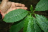  ( - BioBot00258)  @11 [ ] Copyright (2010) Unspecified Unspecified