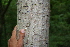  ( - BioBot00258)  @11 [ ] Copyright (2010) Unspecified Unspecified