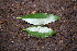  ( - BioBot00262)  @11 [ ] CreativeCommons - Attribution Non-Commercial Share-Alike (2010) Daniel H. Janzen Guanacaste Dry Forest Conservation Fund