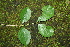  ( - BioBot00267)  @11 [ ] Copyright (2010) Unspecified Unspecified