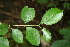  ( - BioBot00267)  @11 [ ] Copyright (2010) Unspecified Unspecified