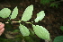  ( - BioBot00267)  @11 [ ] Copyright (2010) Unspecified Unspecified