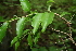  ( - BioBot00269)  @11 [ ] CreativeCommons - Attribution Non-Commercial Share-Alike (2010) Daniel H. Janzen Guanacaste Dry Forest Conservation Fund