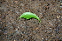  ( - BioBot00269)  @11 [ ] Copyright (2010) Unspecified Unspecified