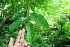  ( - BioBot00301)  @11 [ ] CreativeCommons - Attribution Non-Commercial Share-Alike (2010) Daniel H. Janzen Guanacaste Dry Forest Conservation Fund