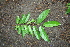  ( - BioBot00301)  @11 [ ] Copyright (2010) Unspecified Unspecified